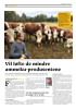 Vil løfte de mindre ammeku-produsentene