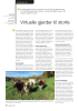 Virtuelle gjerder til storfe