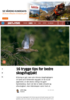 16 trygge tips for bedre skogsfugljakt