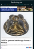 1600 år gammel sølvknapp funnet i Melhus