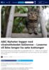ABC Nyheter legger ned viralnettstedet SeDenne: - Leserne vil ikke lenger ha søte kattunger