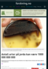 Antall arter på jorda kan være 1000 000 000 000