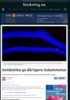 Antibiotika ga dårligere hukommelse