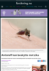 Antistoff kan beskytte mot zika