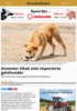 Avventer tiltak mot importerte gatehunder
