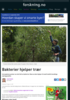 Bakterier hjelper trær