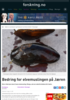 Bedring for elvemuslingen på Jæren