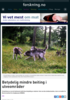 Betydelig mindre beiting i ulveområder