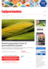 Bioteknologirådet kritisk til genmodifiserte planter