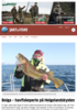 Bolga - havfiskeperle på Helgelandskysten