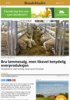 Bra lammesalg, men likevel betydelig overproduksjon