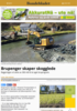 Brupenger skaper skogglede