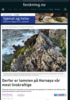 Derfor er lomvien på Hornøya vår mest livskraftige