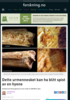 Dette urmennesket kan ha blitt spist av en hyene