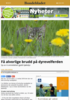 Få alvorlige brudd på dyrevelferden