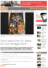 Fane søker eier: Er dette din barnehages fane?