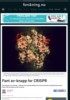 Fant av-knapp for CRISPR