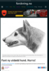 Fant ny utdødd hund. Hurra!