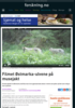 Filmet Østmarka-ulvene på musejakt