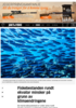 Fiskebestanden rundt ekvator minsker på grunn av klimaendringene