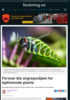 Forsvar ble angrepsvåpen for kjøttetende plante