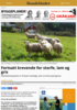 Fortsatt krevende for storfe, lam og gris