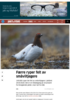 Færre ryper felt av småviltjegere