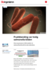 Fruktblanding var trolig salmonella-kilden