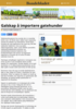 Galskap å importere gatehunder