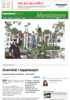 Grønnkål i toppetasjen