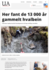 Her fant de 13 000 år gammelt hvalbein