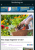 Hva slags hageeier er du?
