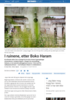 I ruinene, etter Boko Haram