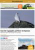 Kan bli rypejakt på flere til høsten