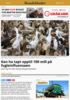 Kan ha tapt opptil 100 mill på fugleinfluensaen