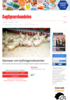 Kjemper om kyllingprodusenter