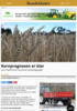 Kornprognosen er klar