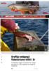 Kraftig nedgang i fisketurisme hittil i år