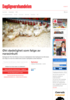 Økt dødelighet som følge av narasinkutt