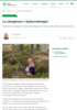 La skogbunn i bybarnehager