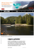 Lågens gullalder