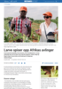 Larve spiser opp Afrikas avlinger