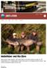 Mallefeber ved Rio Ebro