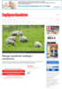 Mange sauebruk nedlagt i ulvesonen