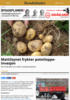 Mattilsynet frykter potetloppe-invasjon