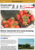 Meiner bærbonde driv sosial dumping