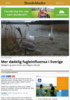 Mer dødelig fugleinfluensa i Sverige