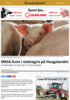 MRSA-funn i slaktegris på Haugalandet