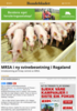 MRSA i ny svinebesetning i Rogaland