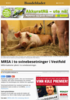 MRSA i to svinebesetninger i Vestfold